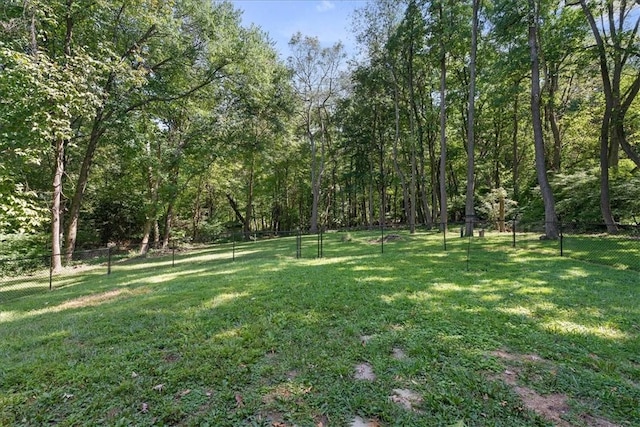 259 Old Blackhawk Rd, Chippewa Twp, PA 15010 - view of yard