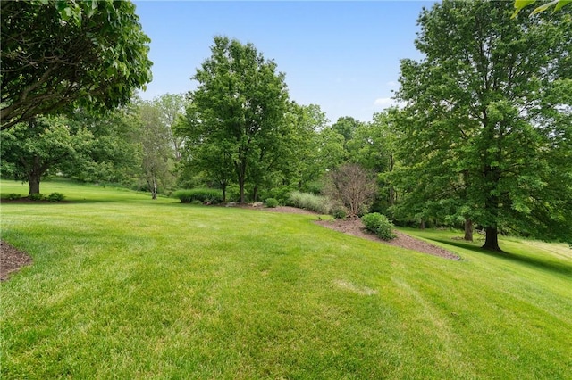 26 Indian Fields Trl, Lower Burrell, PA 15068 - view of grassy yard
