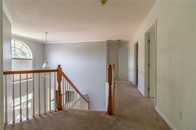 236 Edgewood Dr, Brighton Twp, PA 15009 - photo 22