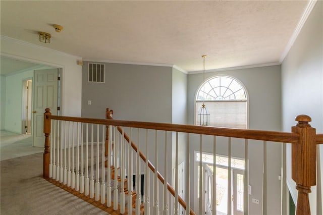 236 Edgewood Dr, Brighton Twp, PA 15009 - photo 24