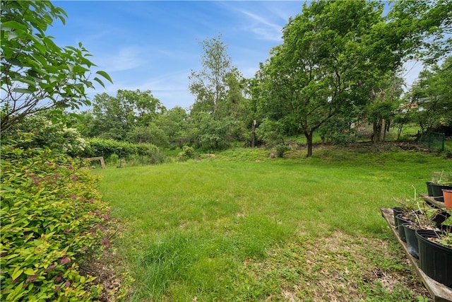 431 Darrell Dr, Penn Hills, PA 15235 - view of yard
