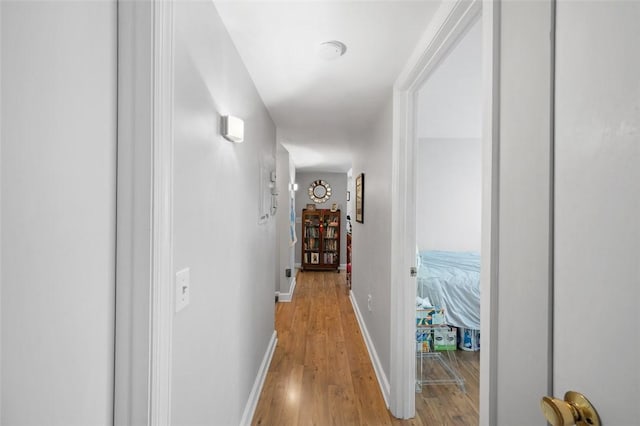 3266 Ward St Unit 8, Oakland, PA 15213 - hall with light wood-style floors and baseboards