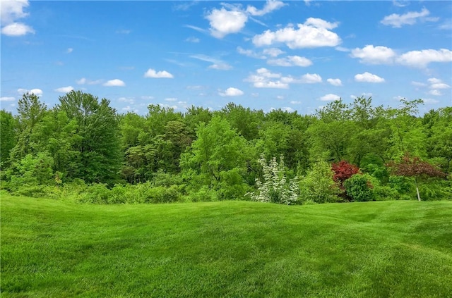 132 Bellefield Ct, Richland, PA 15044 - photo 41