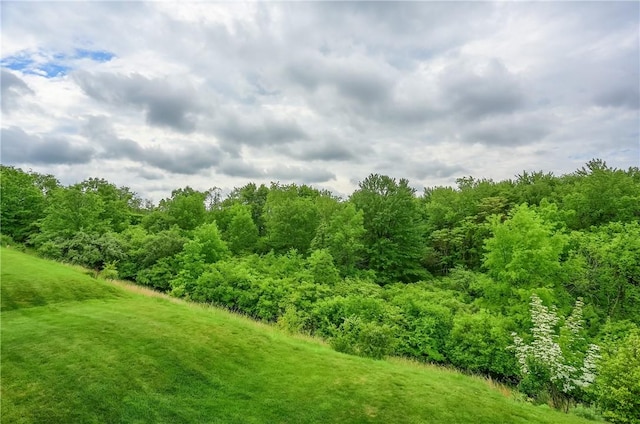 132 Bellefield Ct, Richland, PA 15044 - photo 42