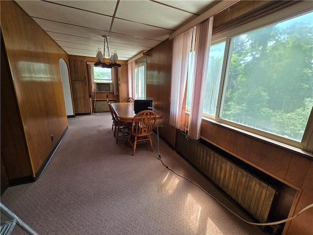 229 Bluff St, Canonsburg, PA 15317 - sunroom featuring radiator heating unit, a chandelier, and arched walkways