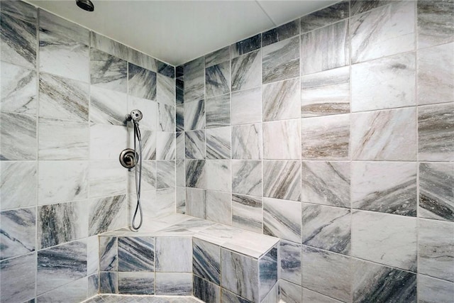 2712 State Route 351, Little Beaver Twp, PA 16120 - bathroom featuring a tile shower