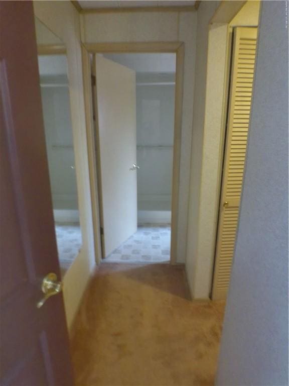 443 Eden Dr, Monroeville, PA 15146 - photo 31