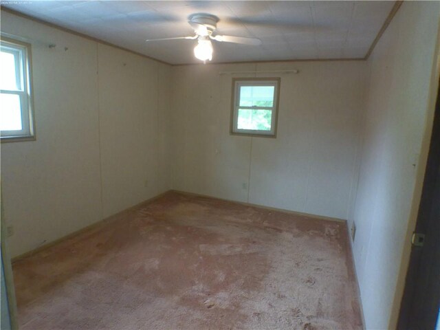 443 Eden Dr, Monroeville, PA 15146 - photo 29