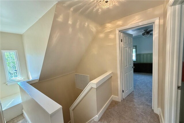 136 Inglewood Dr, Mt Lebanon, PA 15228 - photo 29