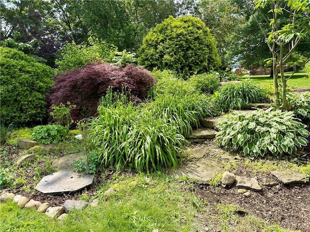 2760 Ridge Road Ext, Economy, PA 15005 - view of yard