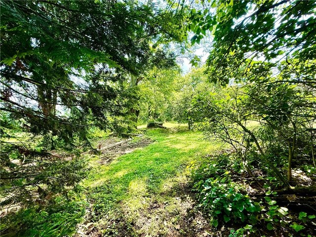 2760 Ridge Road Ext, Economy, PA 15005 - view of local wilderness