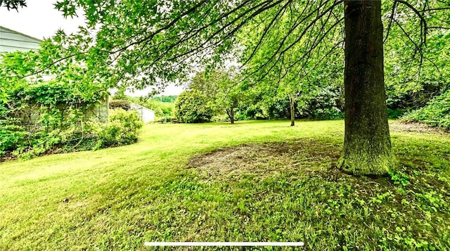 2760 Ridge Road Ext, Economy, PA 15005 - view of green lawn
