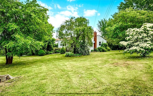2760 Ridge Road Ext, Economy, PA 15005 - view of grassy yard