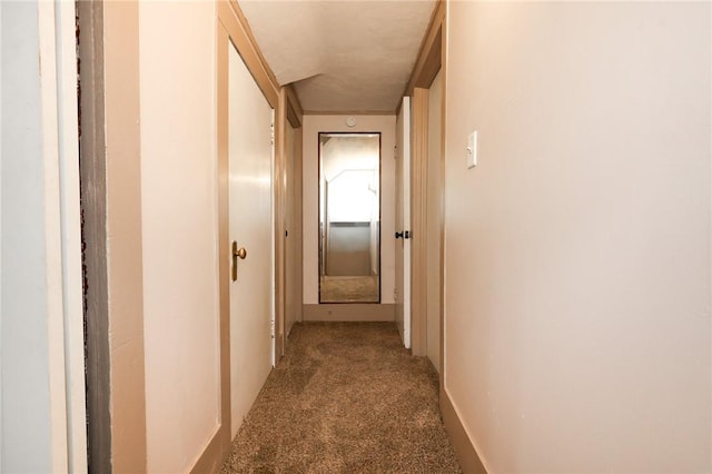 409 Summit St, Grove City Boro, PA 16127 - hallway with carpet and baseboards