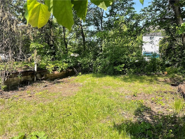 189 Beaver St, Leetsdale, PA 15056 - view of yard