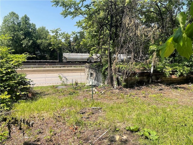 189 Beaver St, Leetsdale, PA 15056 - view of yard