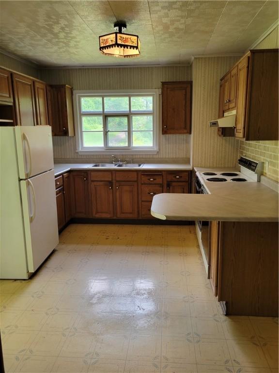 36 Daisytown Rd, Centerville, PA 15427 - kitchen featuring white appliances, light flooring, under cabinet range hood, a sink, and light countertops