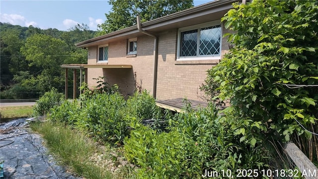 948 Avella Rd, Avella, PA 15312 - photo 10
