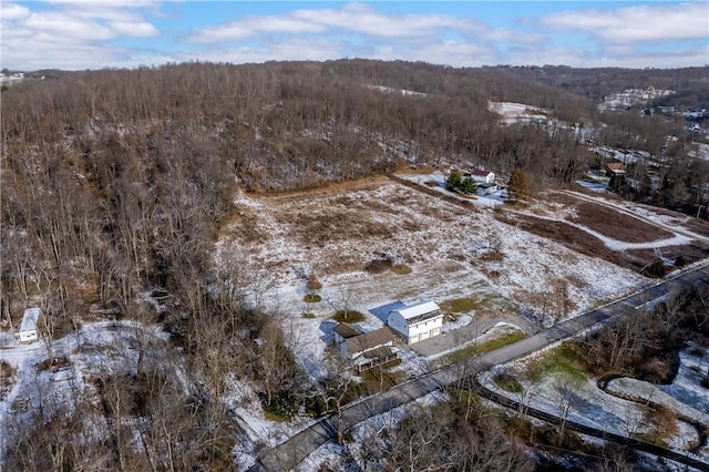155 Old E Butler Rd, Summit Twp But, PA 16002 - view of property location featuring a forest