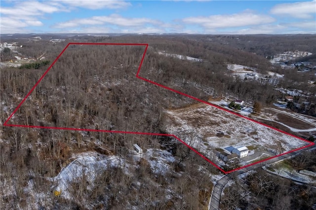 155 Old E Butler Rd, Summit Twp But, PA 16002 - aerial view of property's location featuring property boundaries highlighted and a forest