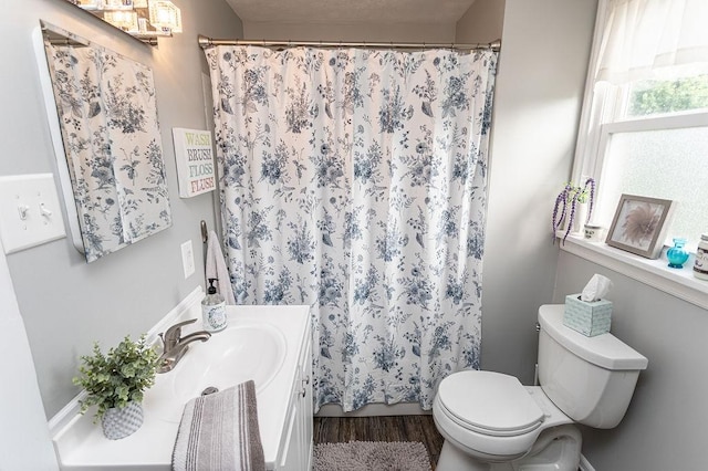 124 Clarendon Ave, South Union Twp, PA 15401 - bathroom with toilet, vanity, wood finished floors, and a shower with shower curtain