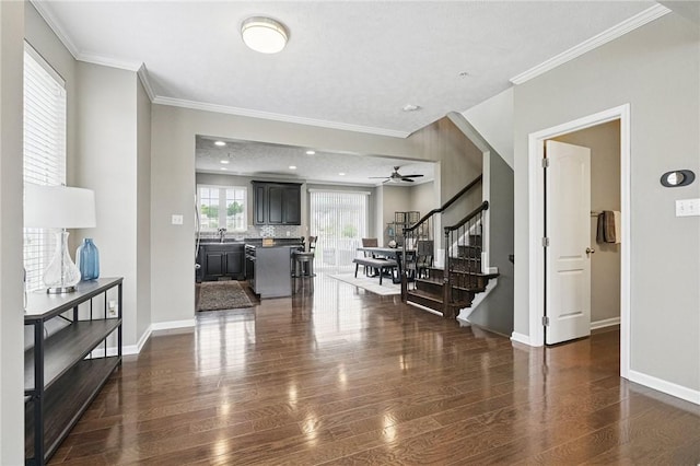 228 Eagle Dr, Cranberry Twp, PA 16066 - entryway with dark wood finished floors, stairway, a ceiling fan, crown molding, and baseboards