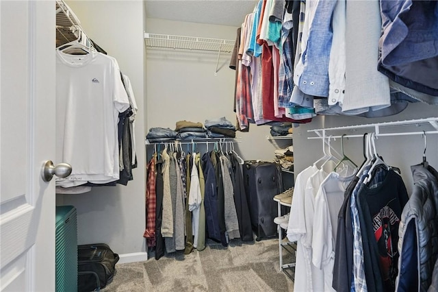 228 Eagle Dr, Cranberry Twp, PA 16066 - spacious closet with carpet floors