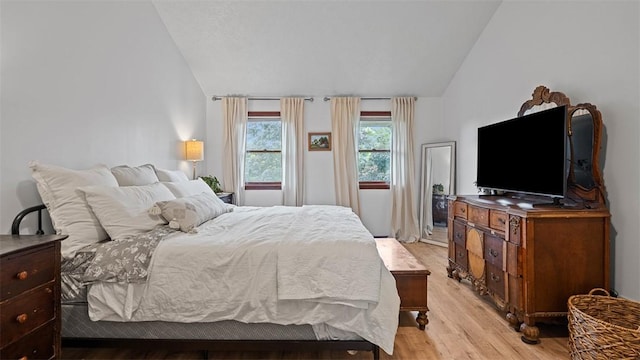 201 Clarke Rd, Buffalo Twp Wsh, PA 15323 - bedroom with vaulted ceiling and light wood-style floors