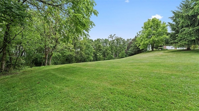 201 Clarke Rd, Buffalo Twp Wsh, PA 15323 - view of green lawn