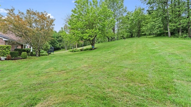 201 Clarke Rd, Buffalo Twp Wsh, PA 15323 - view of green lawn