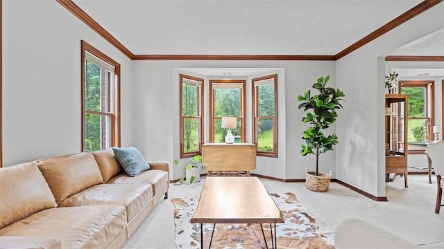 201 Clarke Rd, Buffalo Twp Wsh, PA 15323 - living area featuring light colored carpet, healthy amount of natural light, baseboards, and ornamental molding