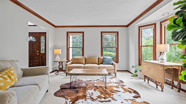 201 Clarke Rd, Buffalo Twp Wsh, PA 15323 - living room with light carpet, baseboards, crown molding, and a textured ceiling