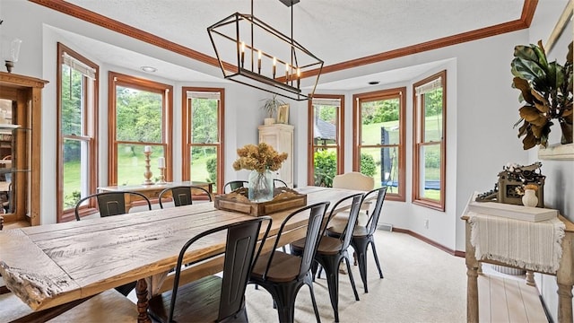 201 Clarke Rd, Buffalo Twp Wsh, PA 15323 - dining space with crown molding, a textured ceiling, healthy amount of natural light, baseboards, and light colored carpet
