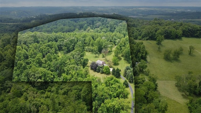 201 Clarke Rd, Buffalo Twp Wsh, PA 15323 - bird's eye view of a forest
