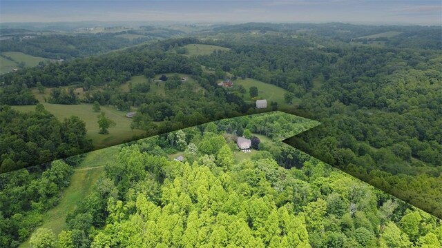 201 Clarke Rd, Buffalo Twp Wsh, PA 15323 - drone / aerial view of a heavily wooded area