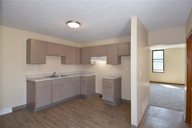 834 Evergreen Ave, Millvale, PA 15209 - photo 6
