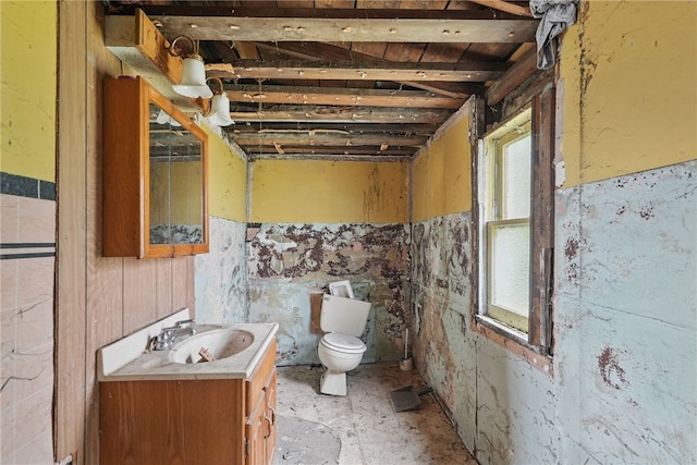 311 State Route 66, Leechburg Boro, PA 15656 - bathroom with vanity, toilet, and a wainscoted wall
