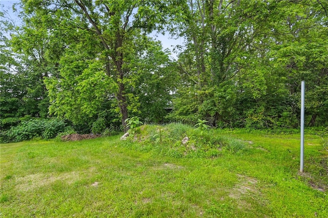 311 State Route 66, Leechburg Boro, PA 15656 - view of yard