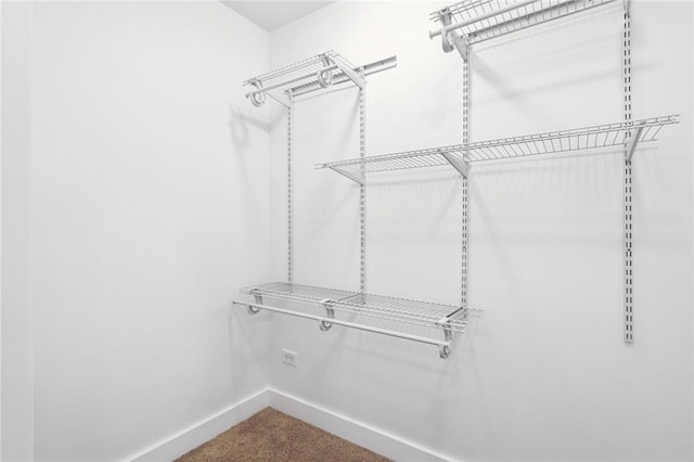 10 Neptune Dr, Robinson Twp Nwa, PA 15136 - walk in closet with carpet