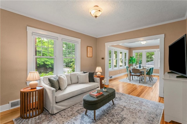 203 W Hutchinson Ave, Regent Square, PA 15218 - living room featuring healthy amount of natural light, crown molding, light wood finished floors, and a textured ceiling