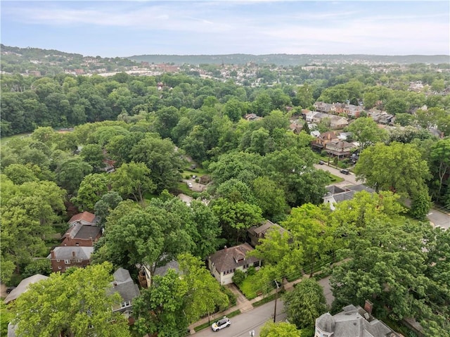 203 W Hutchinson Ave, Regent Square, PA 15218 - aerial perspective of suburban area