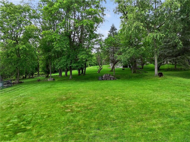 1990 Robbins Station Rd, North Huntingdon, PA 15642 - view of green lawn with view of scattered trees