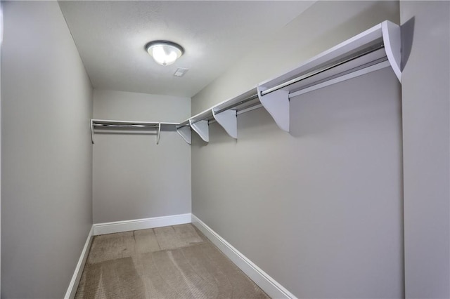 109 Summer Ln, Mount Pleasant Twp Was, PA 15057 - walk in closet with light carpet