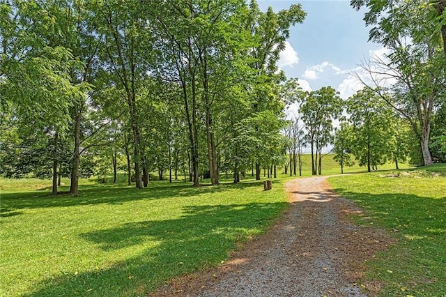 109 Summer Ln, Mount Pleasant Twp Was, PA 15057 - view of home's community with a lawn
