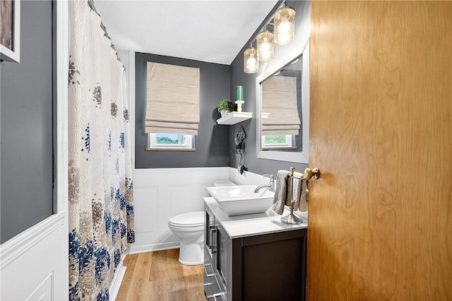 711 SE Simpson Howell, Elizabeth Twp/Boro, PA 15037 - bathroom with vanity, wood finished floors, wainscoting, a decorative wall, and curtained shower