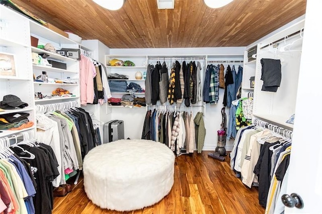 33 Chalkhill Ohiopyle Rd, Wharton Twp, PA 15470 - walk in closet with wood finished floors