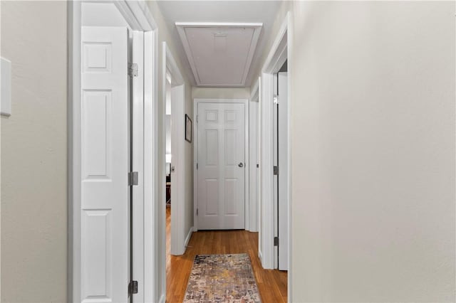 3102 Albine Dr, Shaler, PA 15116 - hallway featuring attic access and wood finished floors