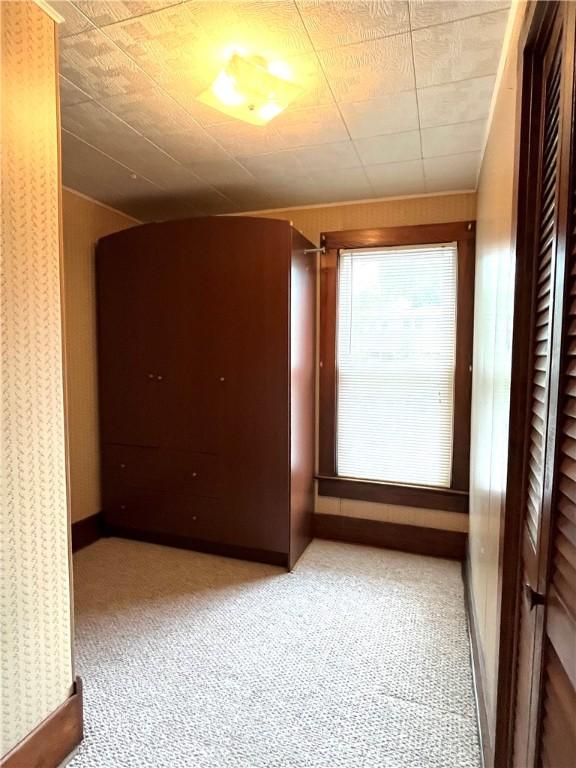 231 Center St, Slippery Rock Boro, PA 16057 - empty room featuring carpet floors and wood walls