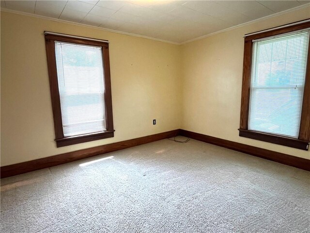 231 Center St, Slippery Rock Boro, PA 16057 - empty room with ornamental molding and carpet