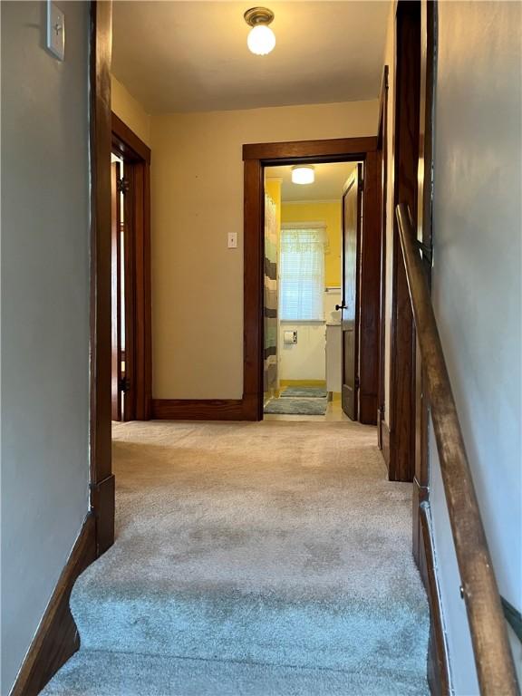 231 Center St, Slippery Rock Boro, PA 16057 - hall with carpet floors and an upstairs landing